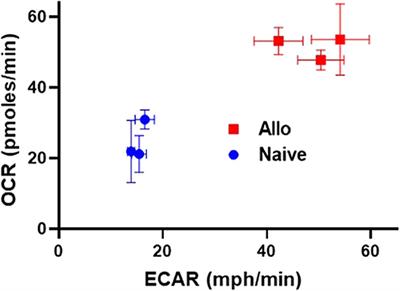 Metabolic Pathways in Alloreactive T Cells